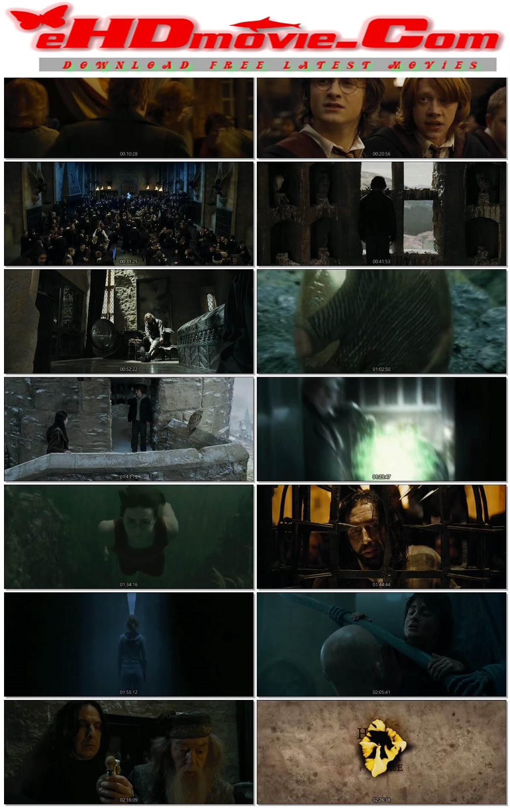 Harry Potter and the Chamber of Secrets download the last version for apple